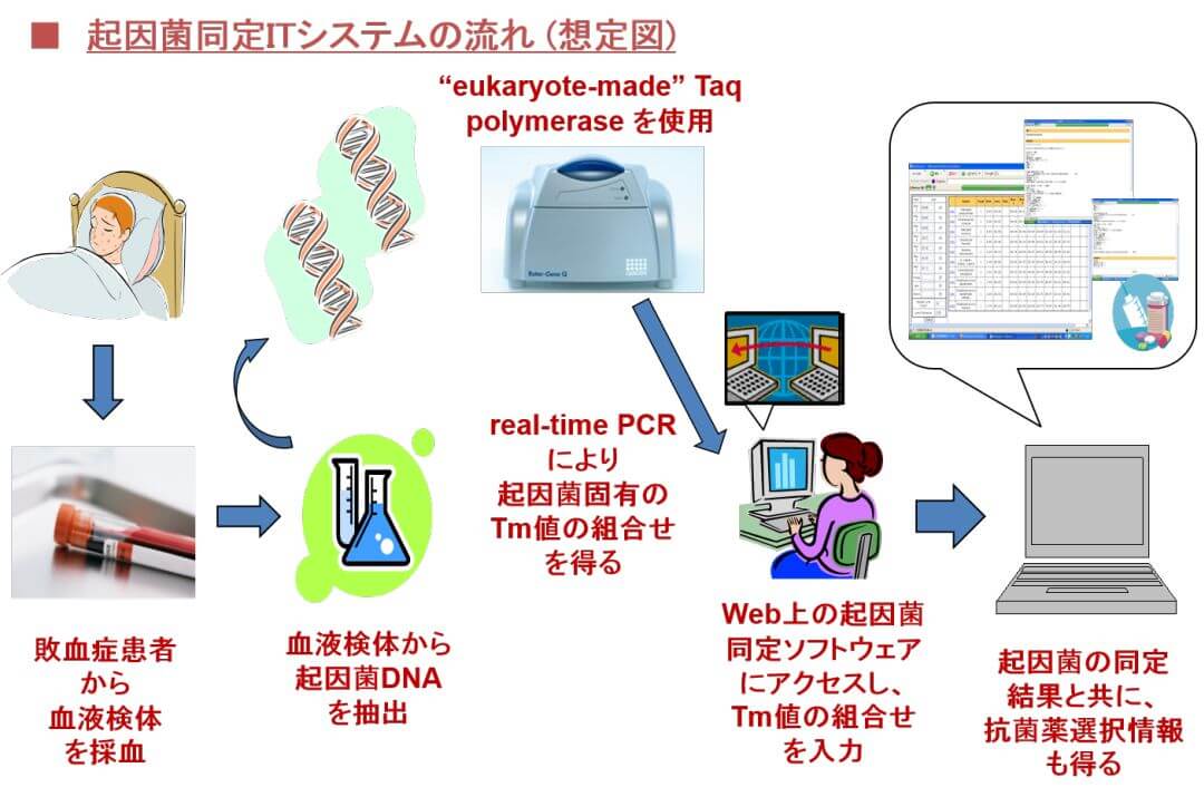 起因菌同定ITシステムの流れ